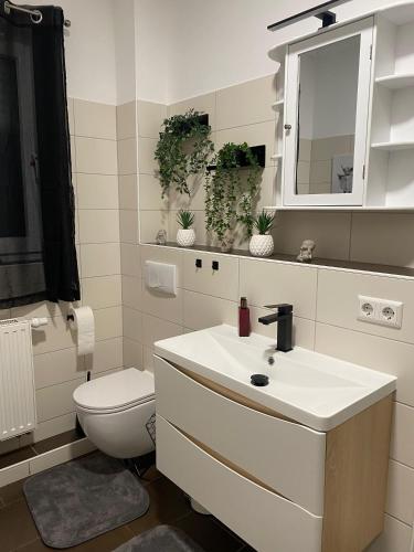 a bathroom with a white sink and a toilet at Ferienwohnung Delja in Aulendorf