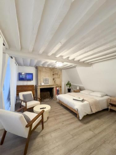 - une grande chambre avec un lit et une cheminée dans l'établissement Dionysos, à Caen