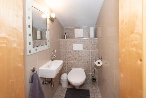 a small bathroom with a toilet and a sink at Chalet Innertal in Inneralpbach