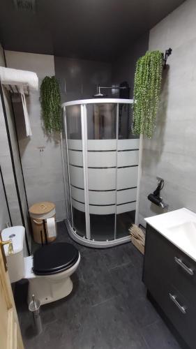 a bathroom with a shower with a toilet and a sink at Ventana a Granada de Marijose in Las Gabias