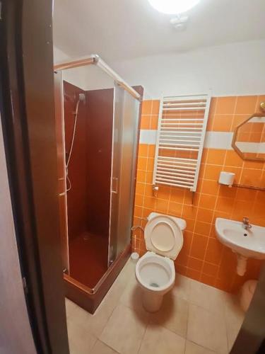 a bathroom with a shower and a toilet and a sink at Penzion u Martina in Liberec