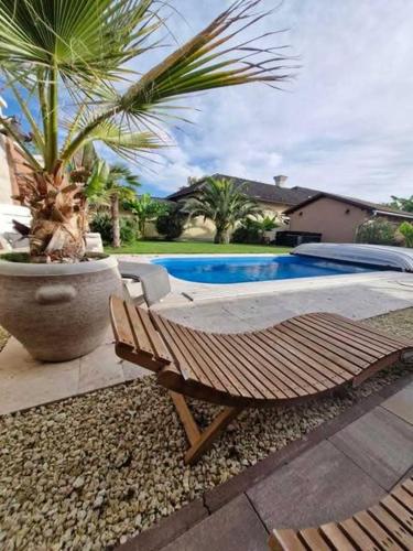 a bench and a palm tree next to a pool at Dr Becsey Luxury Apartman in Békéscsaba