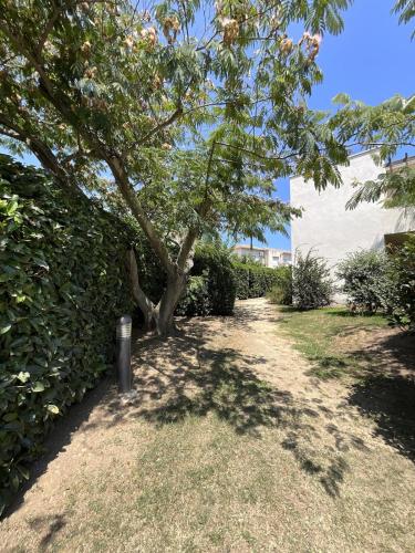 a tree in a yard next to a hedge at Appartement cosy avec wifi en bord de mer in Poggio-Mezzana