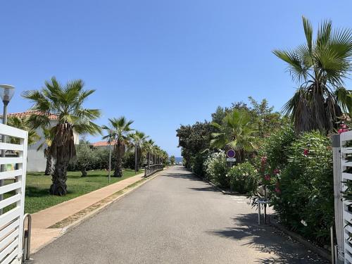a road with palm trees on the side of it at Appartement cosy avec wifi en bord de mer in Poggio-Mezzana