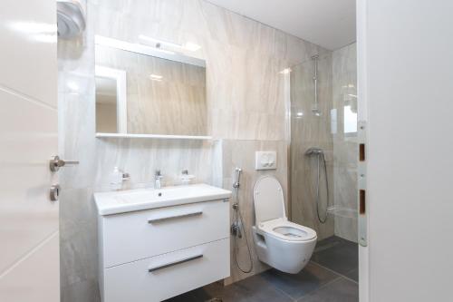 a bathroom with a toilet and a sink and a shower at pazaric residence in Doljani