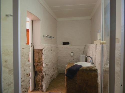 a bathroom with a sink in a room at Barn Guesthouse in Kroonstad