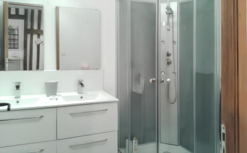 a bathroom with a glass shower and a sink at Maison charmante à Notre-Dame-du-Touchet avec piscine partagée in Notre-Dame-du-Touchet