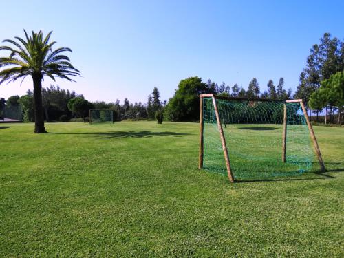 a soccer goal in a field with a palm tree at Herdade Moita Mar - Country & Sea in Vila Nova de Milfontes