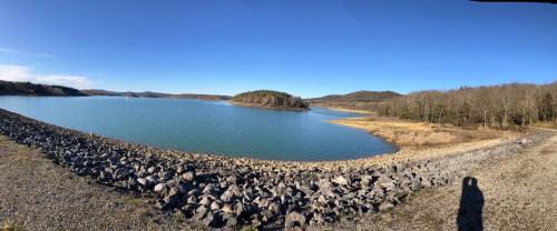 a large group of birds sitting in the water at Maison avec vue sur le Lac de Montbel in Montbel