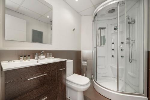 Luxury apartments in Barrio Palacio photo 27