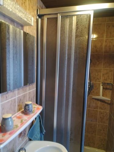 a bathroom with a shower and a toilet and a sink at Beim Hanslbauer in Chieming