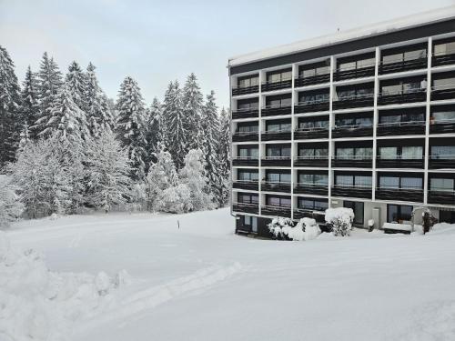 Alpen Studio Ellmau II v zimě