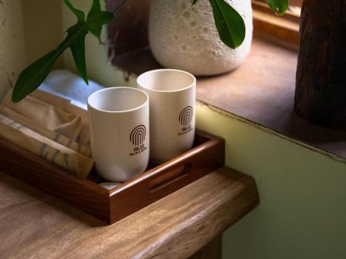 two cups sitting on a wooden box on a shelf at Ailee Villa&Hotel TamCoc in Ninh Binh