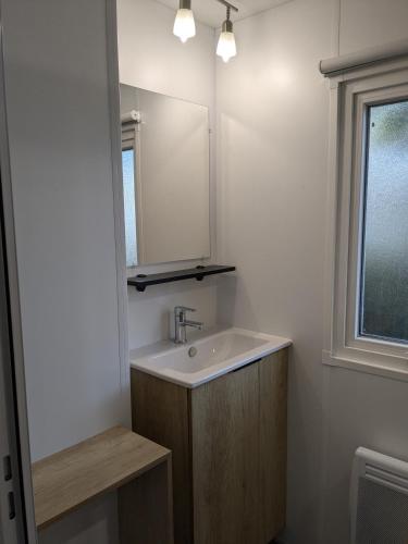 une salle de bain avec un lavabo et un miroir dans l'établissement Mobil Home 205 6 à 8 personnes, à Gastes