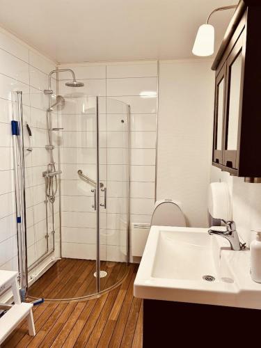 a bathroom with a shower and a sink at 15 Arnljot in Gällö