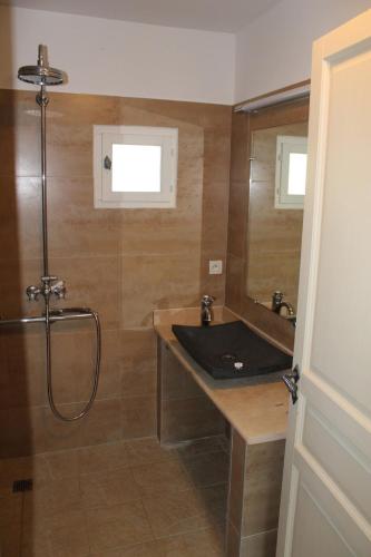 une salle de bain avec un lavabo et une douche dans l'établissement Maison 4 ou 6 personnes au cœur Corbières, à Saint-Laurent-de-la-Cabrerisse