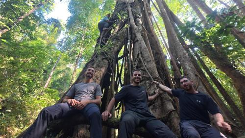 three men sitting on a tree in the forest at Tulip Hotel in Louang Namtha