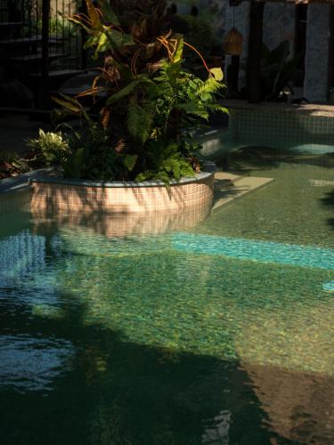 a pool of water with some plants in pots at Ailee Villa&Hotel TamCoc in Ninh Binh