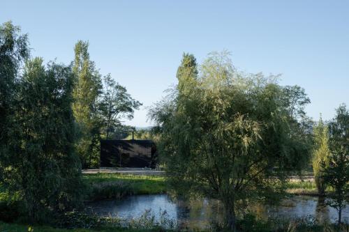 a tree in the middle of a pond at Auberge Sondre in Asahikawa