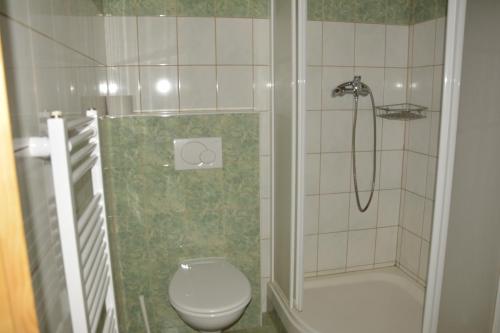 a bathroom with a shower and a toilet at Vinařský dům Sedlec in Sedlec