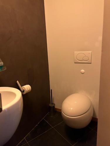 a bathroom with a white toilet and a sink at Riverside Mountain Retreat in Val dʼIlliez