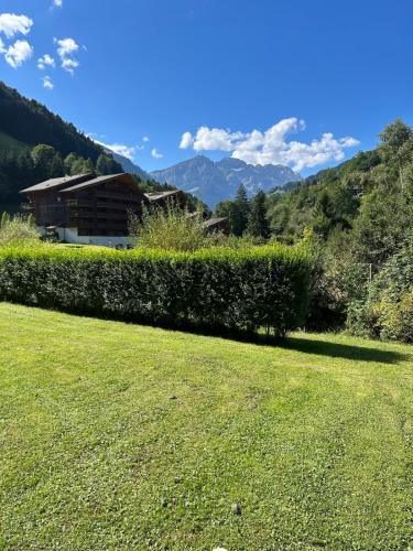 a grassy yard with a house and mountains in the background at Riverside Mountain Retreat in Val dʼIlliez