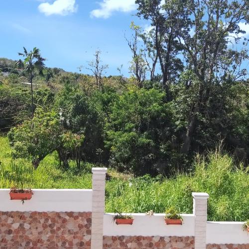 a white fence with plants on top of it at Studio de charme à Bouillante, 100 m², vue sur mer et montagnes in Bouillante
