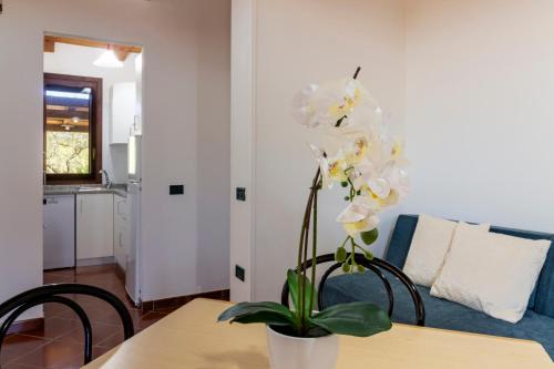 a table with a vase with white flowers on it at Residenza Melissa, appartamenti in Jerzu
