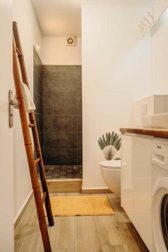 a bathroom with a shower with a toilet and a sink at Bungalow et Duplex de Island Bay in Bouillante