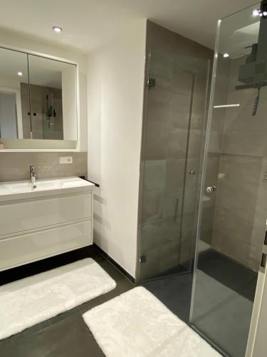 a bathroom with a shower and a sink and a mirror at BERGSEERUHE - FeWo Säuling in Nesselwang
