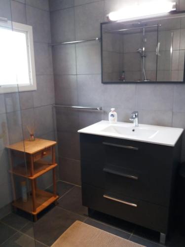 une salle de bain avec un lavabo, un miroir et une douche dans l'établissement Holiday home Bois de la Borde with private pool, à Cancon