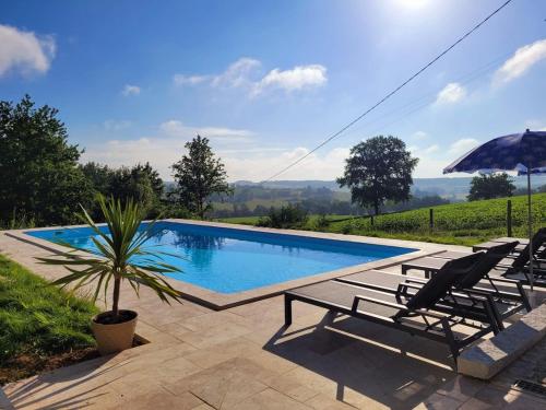 - une piscine avec 2 chaises longues et un palmier dans l'établissement Holiday home Bois de la Borde with private pool, à Cancon