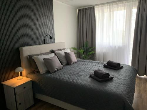 Llit o llits en una habitació de Leola Apartment