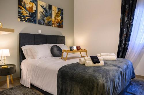 Panathenaic Stadium 1bed Luxury