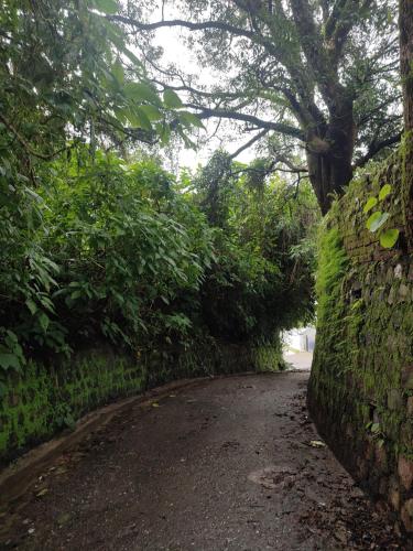 a dirt road next to a stone wall with a tree at Chakk 109 Mussoorie Foothills, Dehradun in Dehradun