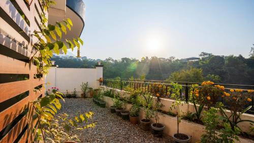 a balcony filled with lots of plants and flowers at Chakk 109 Mussoorie Foothills, Dehradun in Dehradun