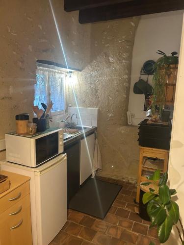 une cuisine avec un évier et un micro-ondes dans l'établissement Studio en campagne Chez Maga, à Foëcy