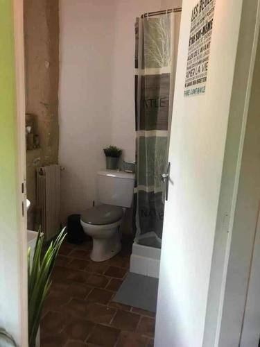 une salle de bain avec toilettes et douche en verre dans l'établissement Studio en campagne Chez Maga, à Foëcy
