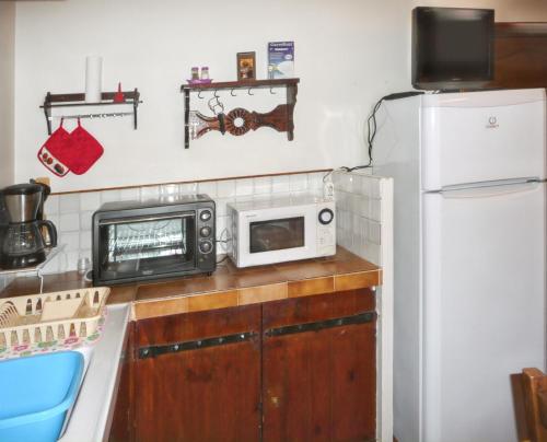 La cuisine est équipée d'un four micro-ondes et d'un réfrigérateur. dans l'établissement 