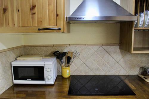 a microwave oven sitting on a counter in a kitchen at Apartament Cal Barracaire in Vilallonga de Ter