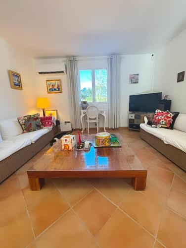 un salon avec deux canapés et une table basse dans l'établissement Le Mas Saint Jean en PACA, à Les Mayons