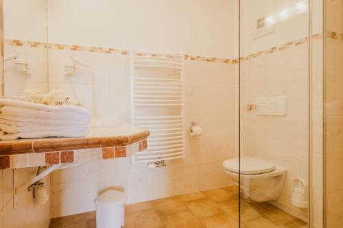 a bathroom with a toilet and a glass shower at HOFERHOF Schladming -Dachstein in Schladming