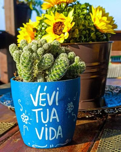 a blue pot with a cactus and a vase with flowers at Pousada Vida Simples in São Francisco do Sul