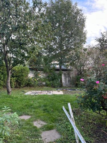 Wohnen mit Garten Lillys 3 oder Julis 1