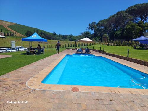 a large blue swimming pool with people sitting around it at Ongegund Lodge in Somerset West