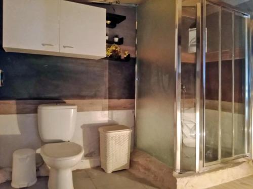 a bathroom with a toilet and a glass shower at Παραδοσιακό σπιτι frozen in Elefterna