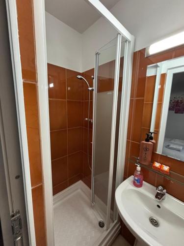a bathroom with a shower and a sink at Hotel La Platouri in Voluntari