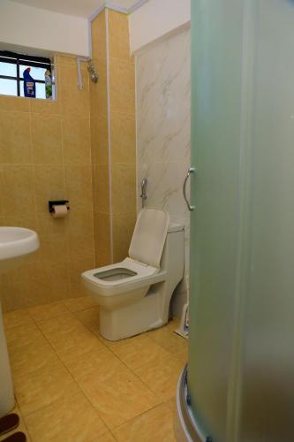a bathroom with a toilet and a sink at Christabell in Kisii