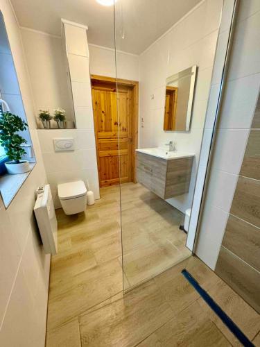 a bathroom with a shower and a toilet and a sink at Lieblingsstück in Tanne