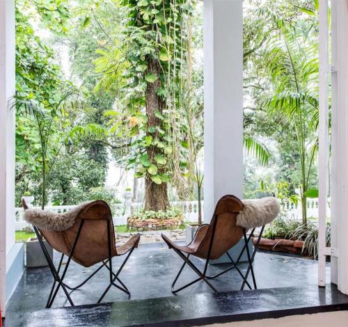 two chairs in front of a large window with trees at Ashburnham Estate in Elkaduwa